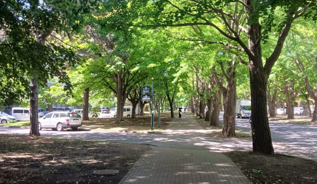 早朝ウォーキング、中高年の新しい日常への第一歩
