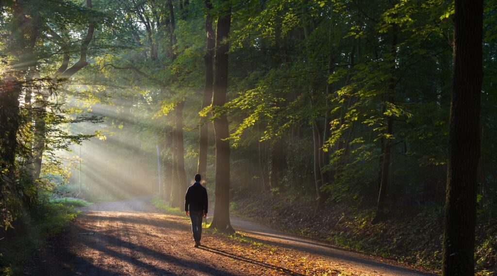 ウルトラウォーキングの完歩率について