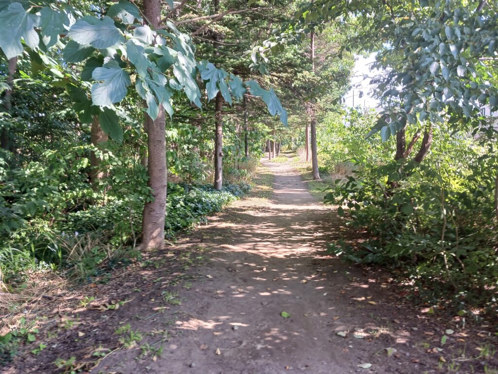 ウォーキングの運動効果とは